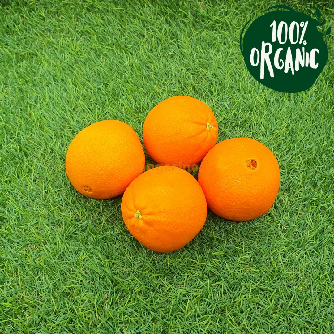 Organic Orange Navel Tangerine